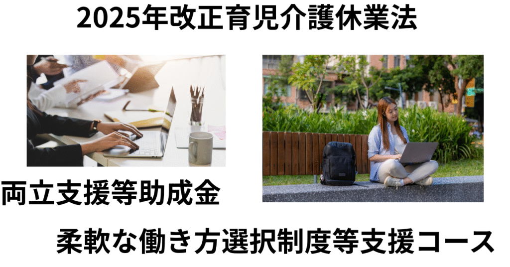 両立支援等助成金　柔軟な働き方選択制度vol1