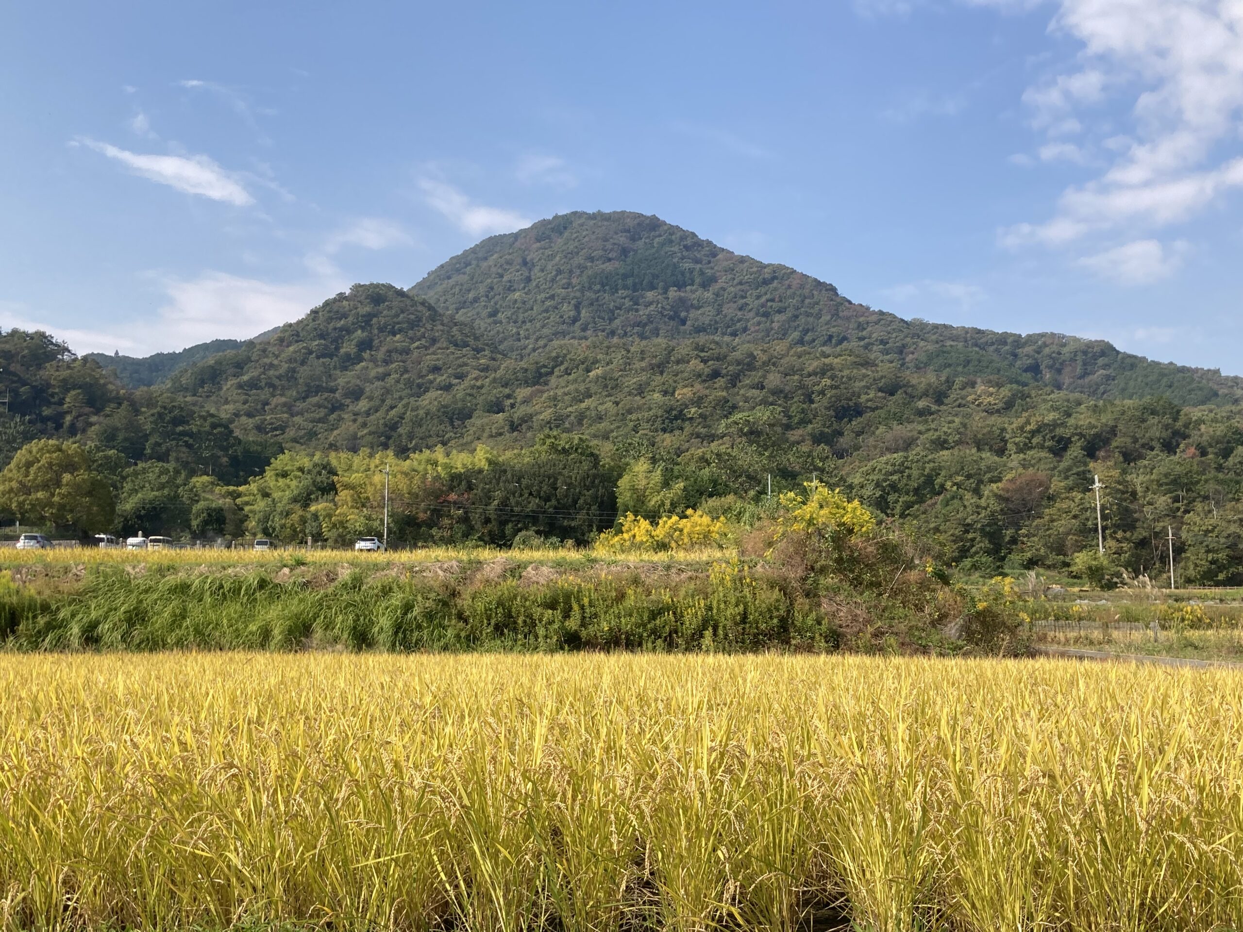 戸塚淳二社会保険労務士事務所　お問合せ